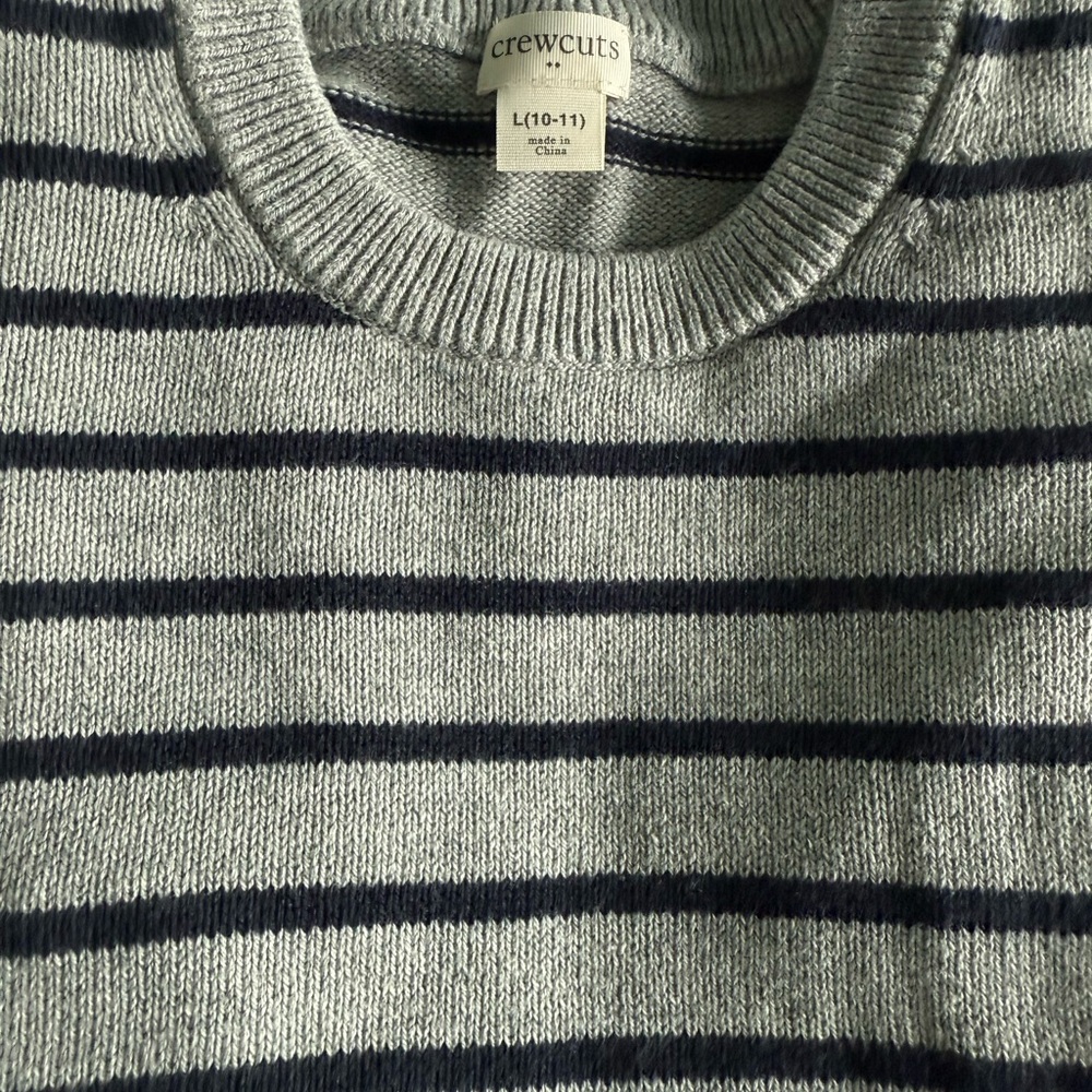 Crewcuts Navy and Gray Striped Men's Crewneck Sweater